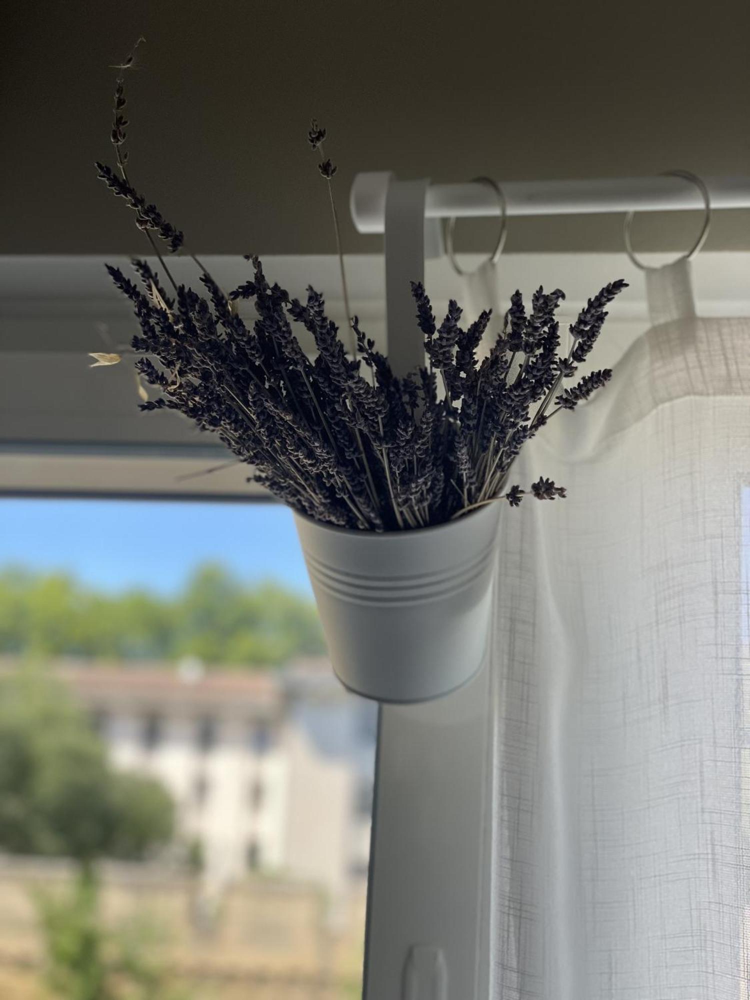 Chez Flo Leilighet Avignon Eksteriør bilde